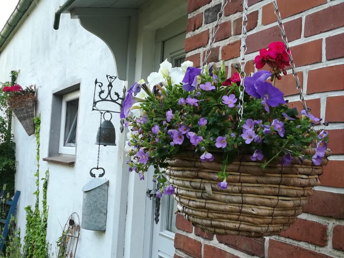 Brodersen Apartment Boren